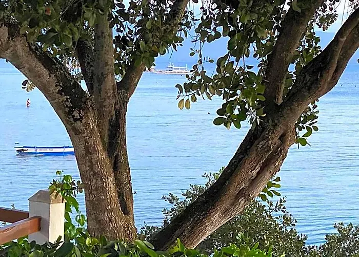 Resort Pescador View Beachfront And Extension By The Ocean & Restaurant Moalboal